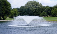Water Pattern L