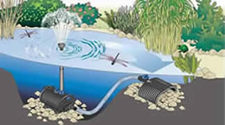 Aquarius fountain with satellite strainer