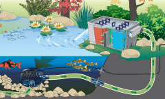 Oase Biosmart 24000 pond filter 