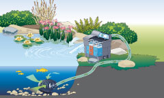 Oase Biosmart 8000 pond filter 