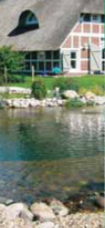 Crystal clear water created by the OASE Proficlear Premium pond filters