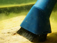 Brush nozzle for pond and swimming pool debris removal