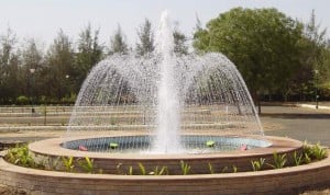 Fountain Spray Rings