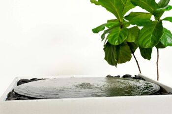 WaterBox 30 Water Feature