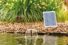 PondoRell 1500 UVC Solar Pond Filter