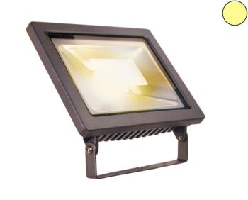 Outdoor LED 12V Floodlight - 12w