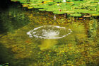 AquaOxy 2500 Aeration Kit
