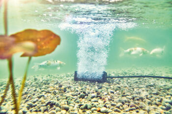 AquaOxy 2500 Aeration Kit