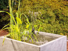 Filtral Premium Fountain Kit