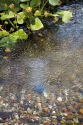 AquaOxy 500 Pond Aerator Pump